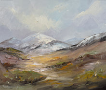 Load image into Gallery viewer, Mt Cook No 4
