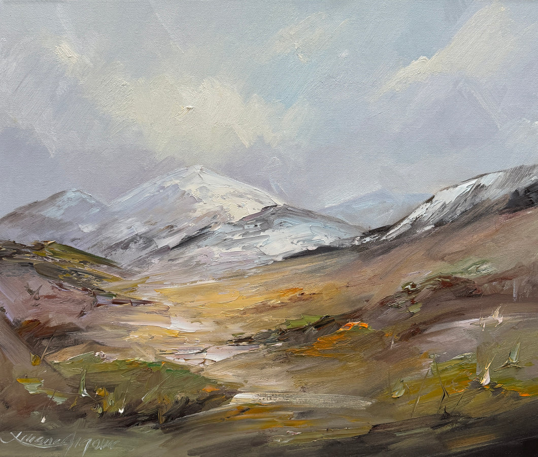 Mt Cook No 4