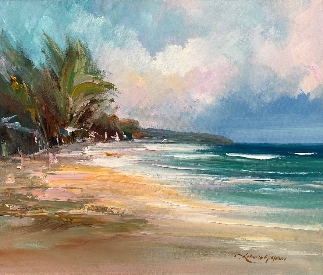 Noosa Heads  main beach No 15